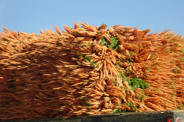 Zanahorias