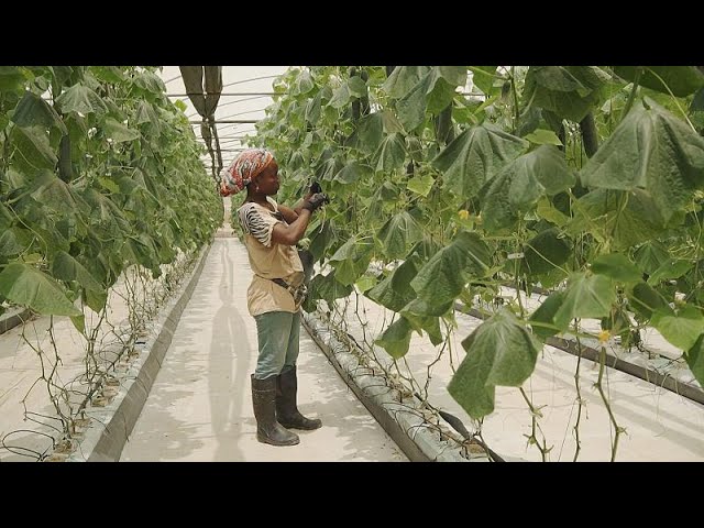 economía en 	Angola