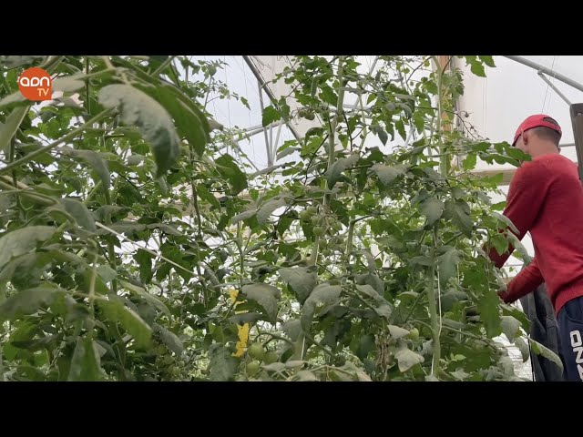 economía en 	Argelia