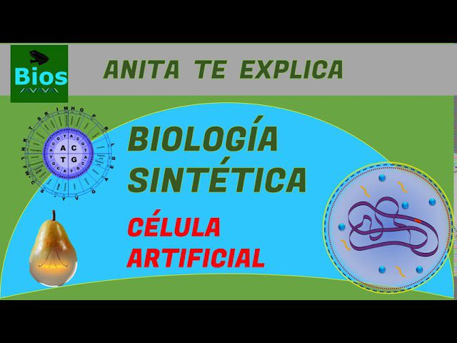 Cómo utilizar la biología sintética para mejorar tu startup