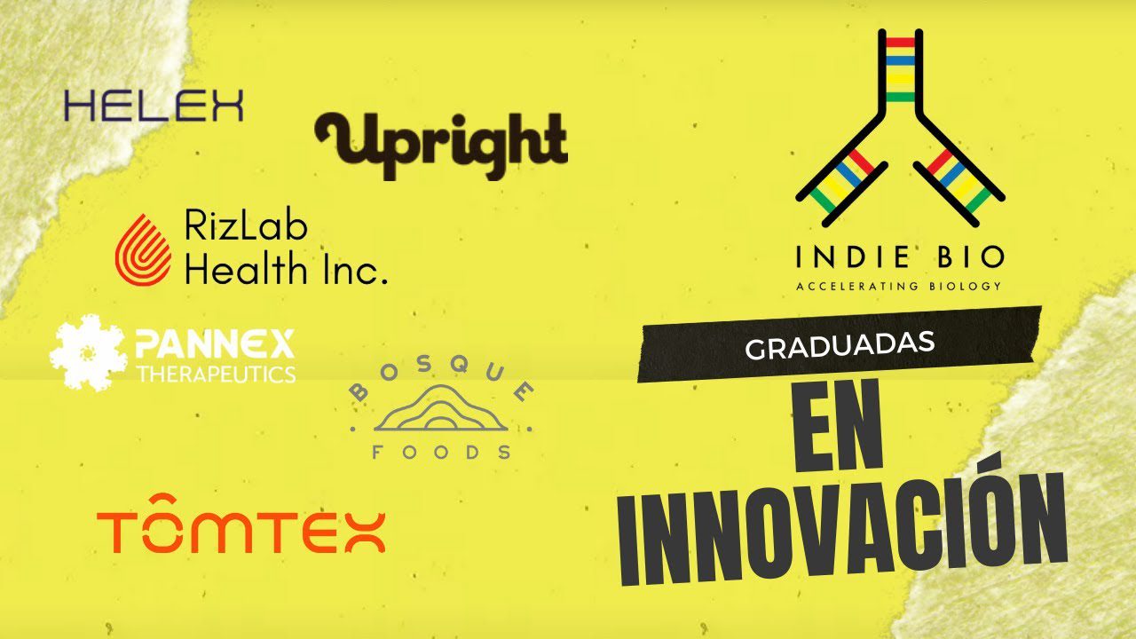 Las mejores prácticas para el desarrollo ágil en startups de biotecnología