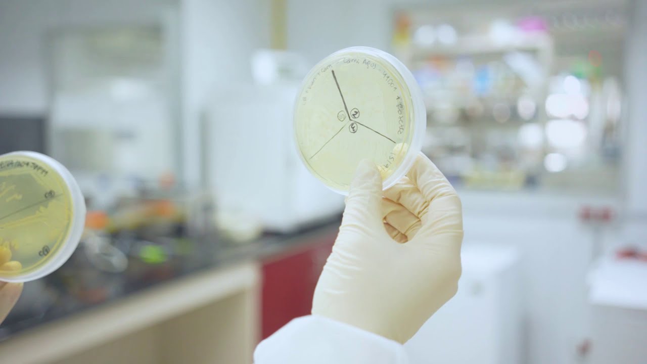 Las tendencias en biotecnología que los emprendedores deben conocer