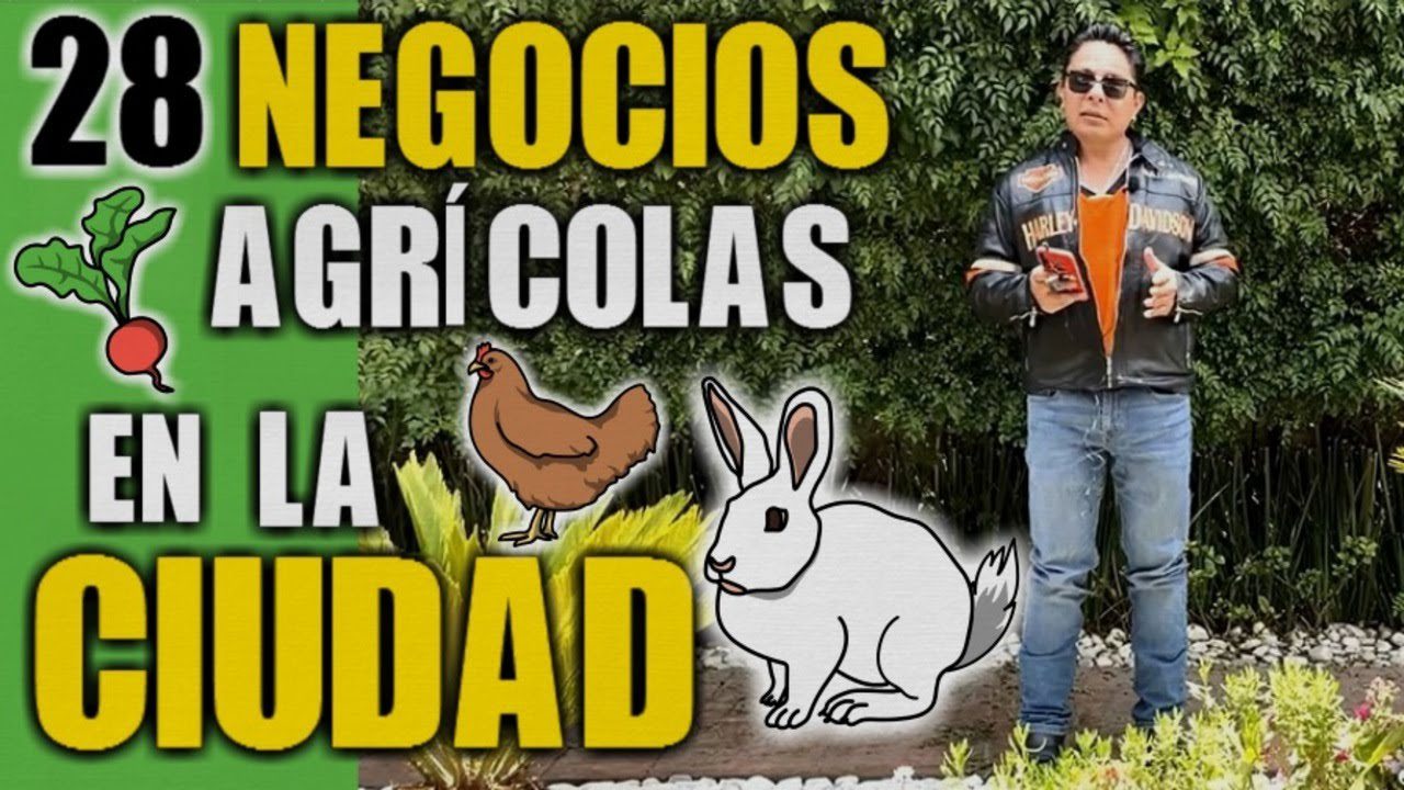 Modelos de negocio en el sector de la agricultura sostenible: ejemplos y estrategias