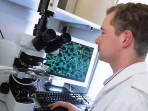 El papel de la ética en el desarrollo de biotecnología