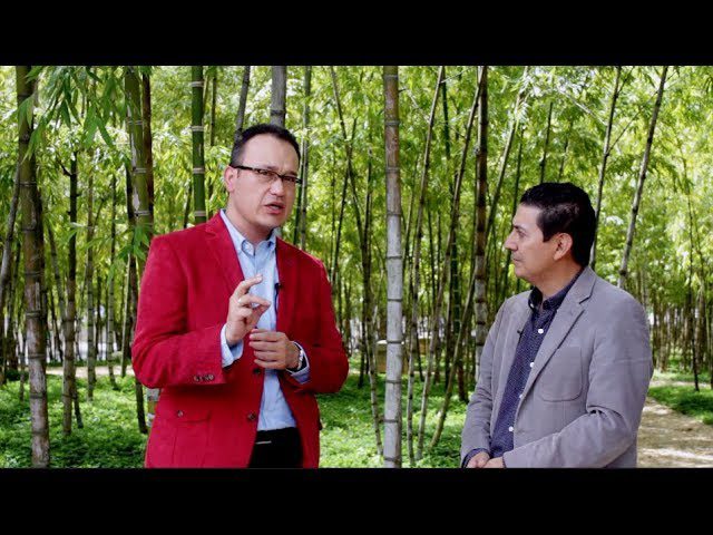 Cómo crear un negocio basado en el análisis de big data