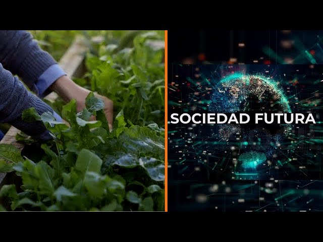 Convenios Laborales y Empresas de Alimentación: Normativas y Desafíos