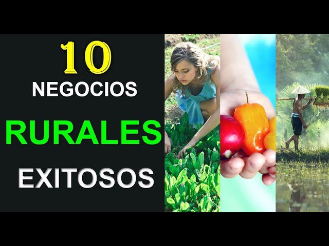 Modelos de negocio en el sector de la agricultura inteligente: oportunidades y desafíos